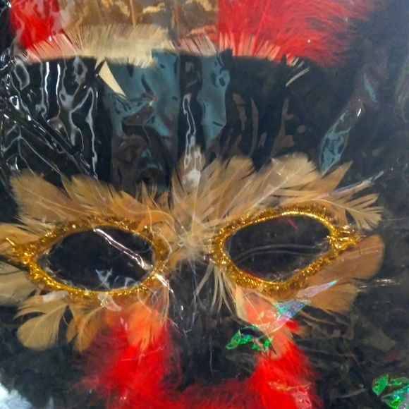Feathered Mask - Picture 1 of 1